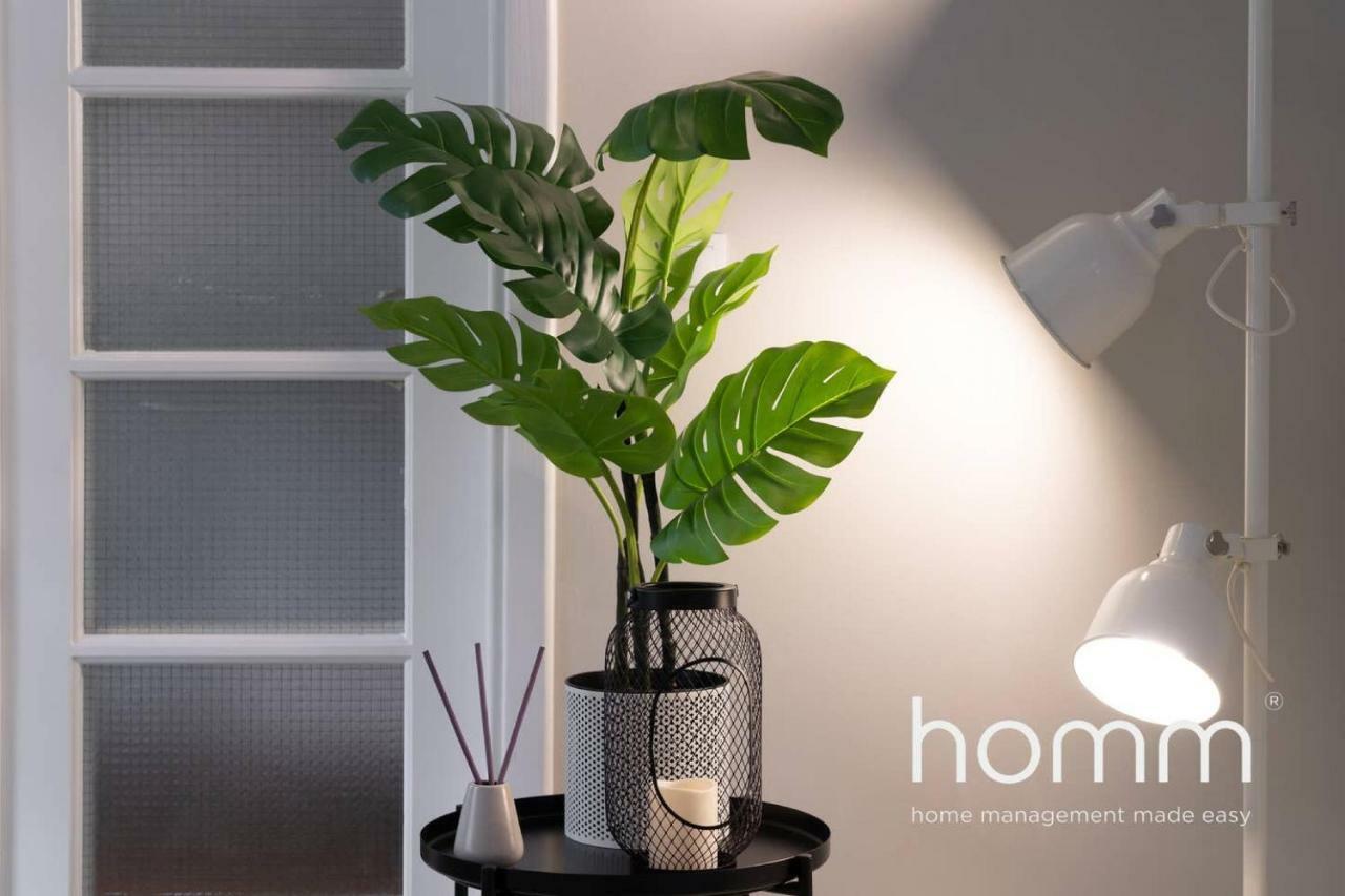 Nemeseos 1St Floor Homm Apartment With Roof Garden And Wading Pool Афіни Екстер'єр фото